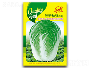 �z����ײ�-�ﲥ�ײ˷N��-�z��