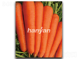 �h�u��̖-���}���N��-�h��