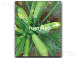 �h�@���G-�����J�N��-�h��