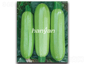 �h����̖-�����J�N��-�h��