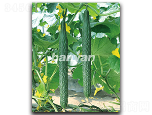 �h��10̖-�S�ϷN��-�h��