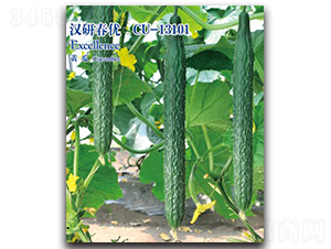 �h�д���-�S�ϷN��-�h��