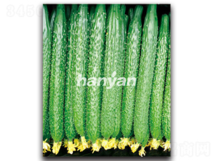 �h�д���-�S�ϷN��-�h��