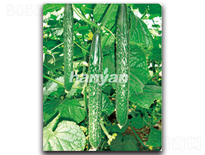 �h��8̖-�S�ϷN��-�h��