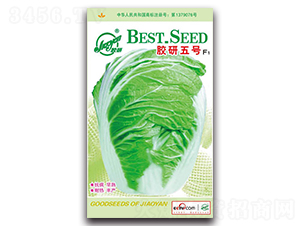 �z����̖F1-�Ĳ��ײ˷N��-�z��