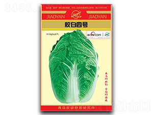 �z����̖-�����ײ˷N��-�z��