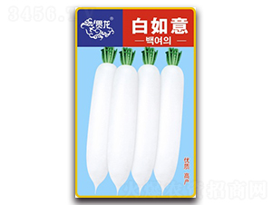 ������-�}���N��-�����N�I(y��)