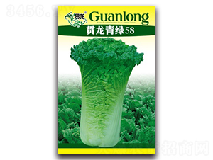 ؞����G58-�t�ײ˷N��-�����N�I