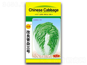 �������s��̖-��ײ˷N��-�����N�I