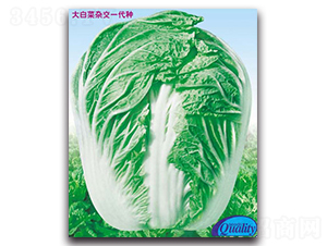 ��T-��ײ˷N��-�����N�I