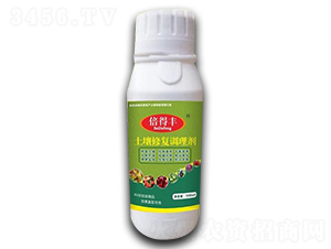 �����{���ޏ̈́�-�����S