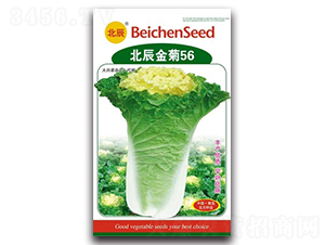 �������56-��ײ˷N��-�����N�I