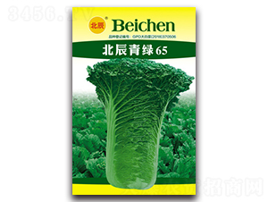 北辰青綠65-大白菜種子-北方種業(yè)