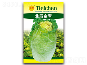 北辰金翠-大白菜種子-北方種業(yè)