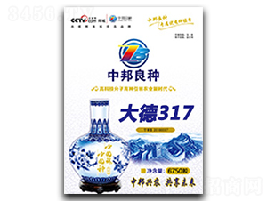 大德317-玉米種子-中邦農業
