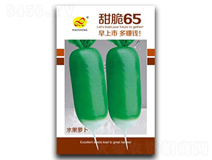 ���65-�}���N��-��ɷN�I(y��)