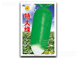 �ش�G-�}���N��-��ɷN�I(y��)