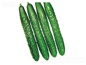 ��������-�S�ϷN��-�����r�I