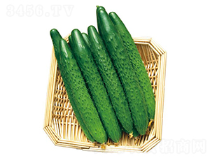 �G��25-�S�ϷN��-�����r�I