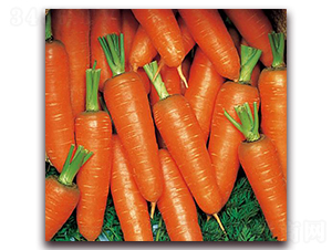 �º���������ϵ-���}���N��-�����r(n��ng)�I(y��)