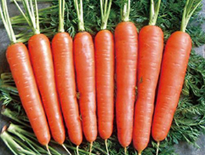 ̩ɽ��̖-���}���N��-�����r(n��ng)�I(y��)