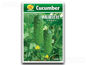 �������-�S�ϷN��-��ɷN�I