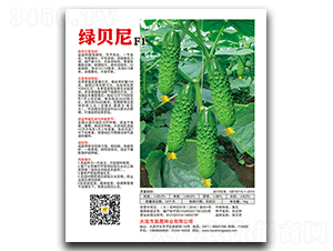 �Gؐ��F1-�S�ϷN��-��ɷN�I