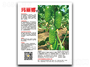 ������F1-�S�ϷN��-��ɷN�I