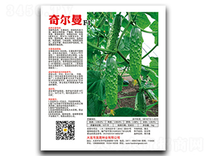 �栖��F1-�S�ϷN��-��ɷN�I