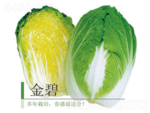 ���-�ײ˷N��-�����r(n��ng)�I(y��)