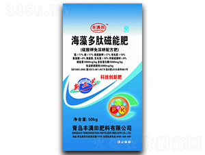 ������Ĵ��ܷ�-�S�M��