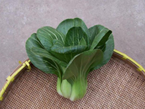 ������-�๣�˷N��-����r(n��ng)�I(y��)