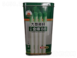 三系金棒88號-大蔥種子-鑫星農(nóng)業(yè)