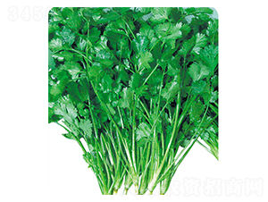 ����-��˷N��-�A�߷N�I(y��)