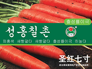 ʥ�t�ߴ�-���}���N��-�A�߷N�I