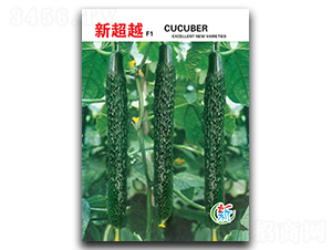 �³�Խ-�S�ϷN��-�A�߷N�I