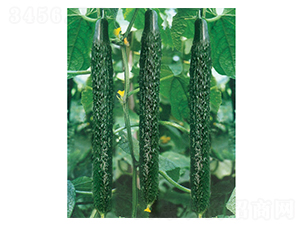 �°l�F-�S�ϷN��-�A�߷N�I