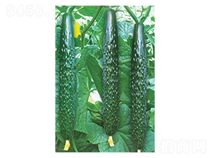 ����-�S�ϷN��-�A�߷N�I