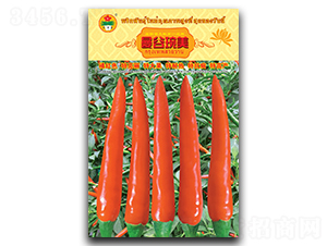 曼谷琬美-朝天椒種子-華蔬種業