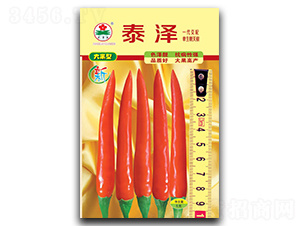 泰澤-朝天椒種子-華蔬種業