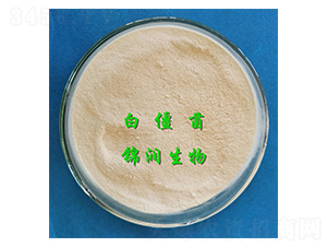 �׽���-�\������