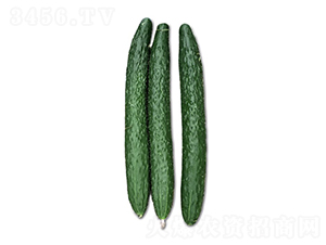 ꑻ�2̖-�S�ϷN��-혳�