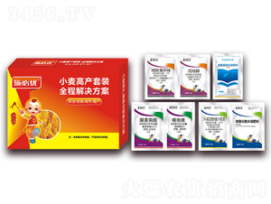 С���߮a�M���b-ʩ�؃�-���r���_