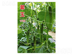 ����1722-�S�ϷN��-�˶��fʢ