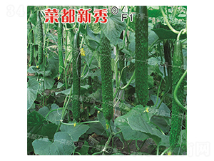 �˶�����-�S�ϷN��-�˶��fʢ