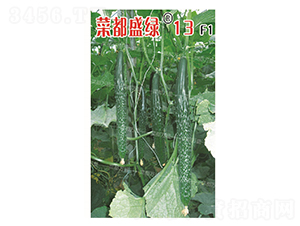 �˶�ʢ�G13-�S�ϷN��-�˶��fʢ