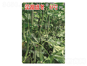 �˶�ʢ��8̖-�S�ϷN��-�˶��fʢ