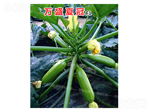 �fʢ�Ĺ�-�����J�N��-�˶��fʢ