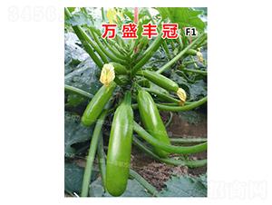 �fʢ�S��-�����J�N��-�˶��fʢ