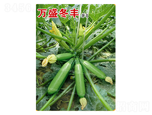 �fʢ���S-�����J�N��-�˶��fʢ